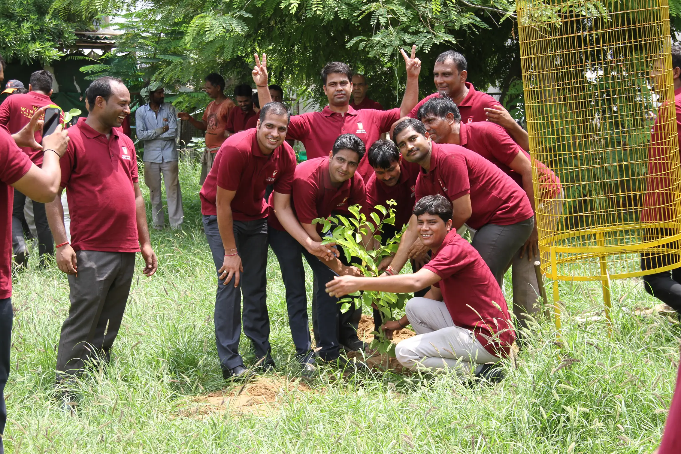 tree plantation initiative – 2018
