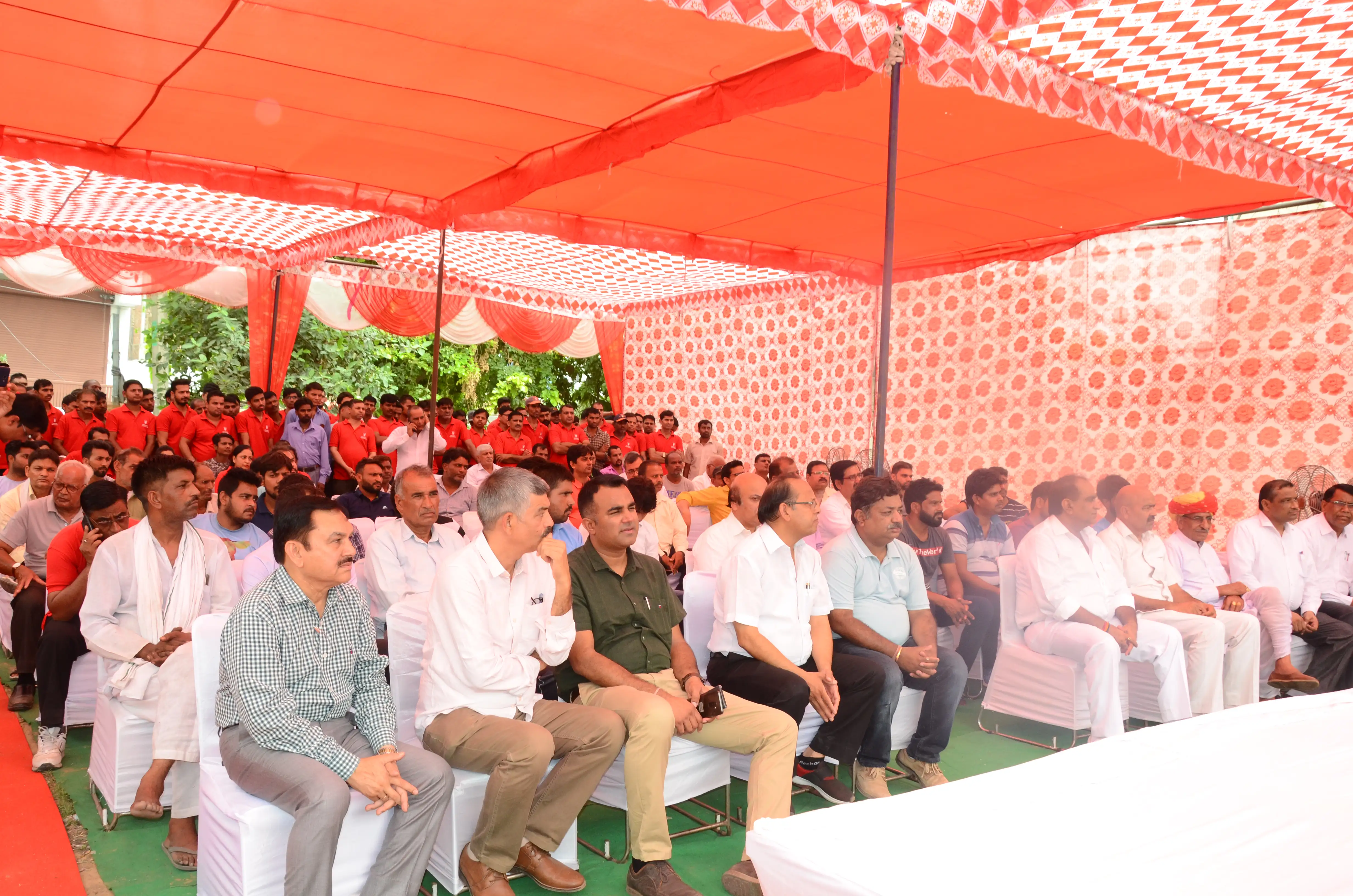 tree plantation initiative – 2019