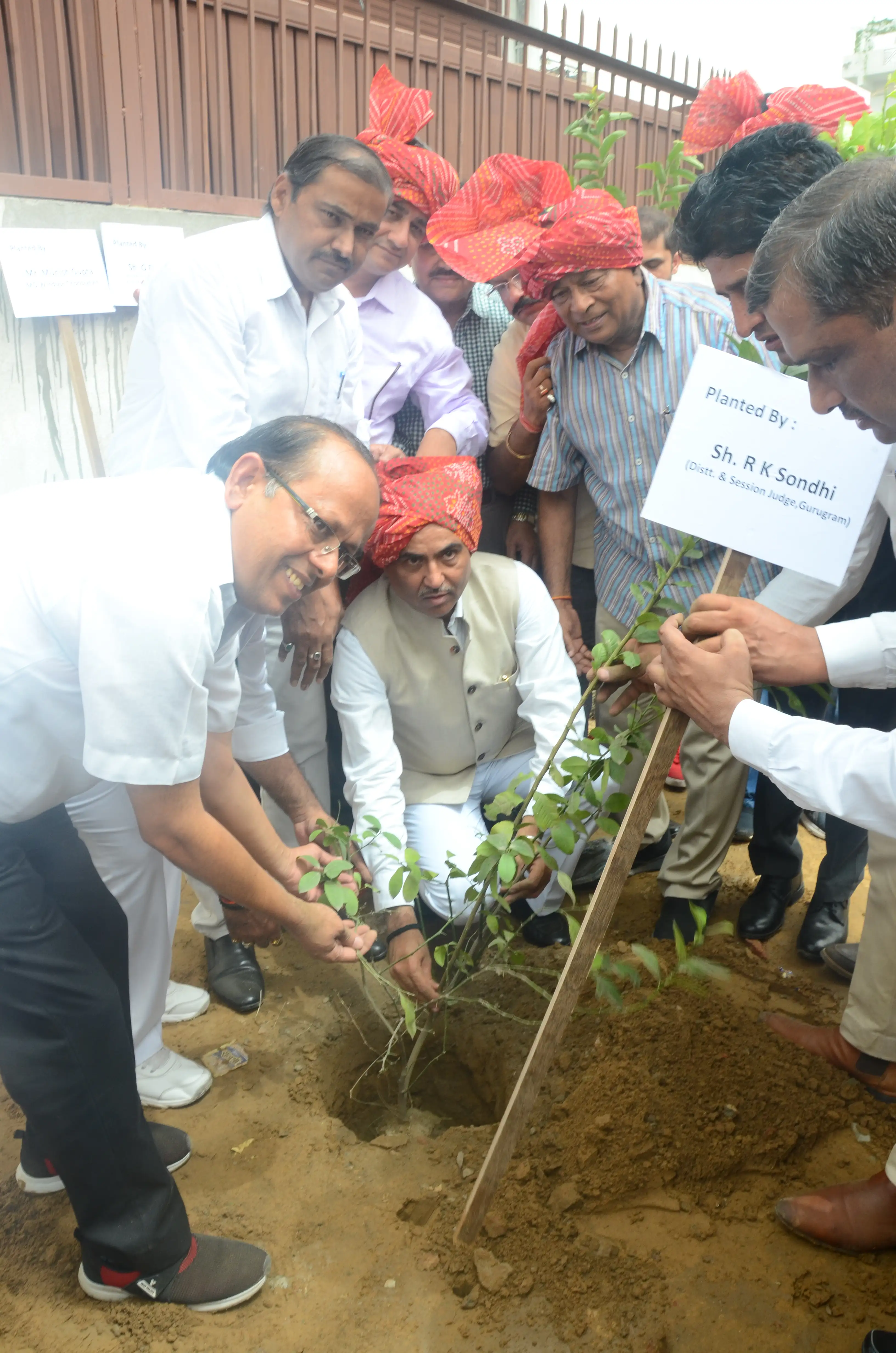 tree plantation initiative – 2019