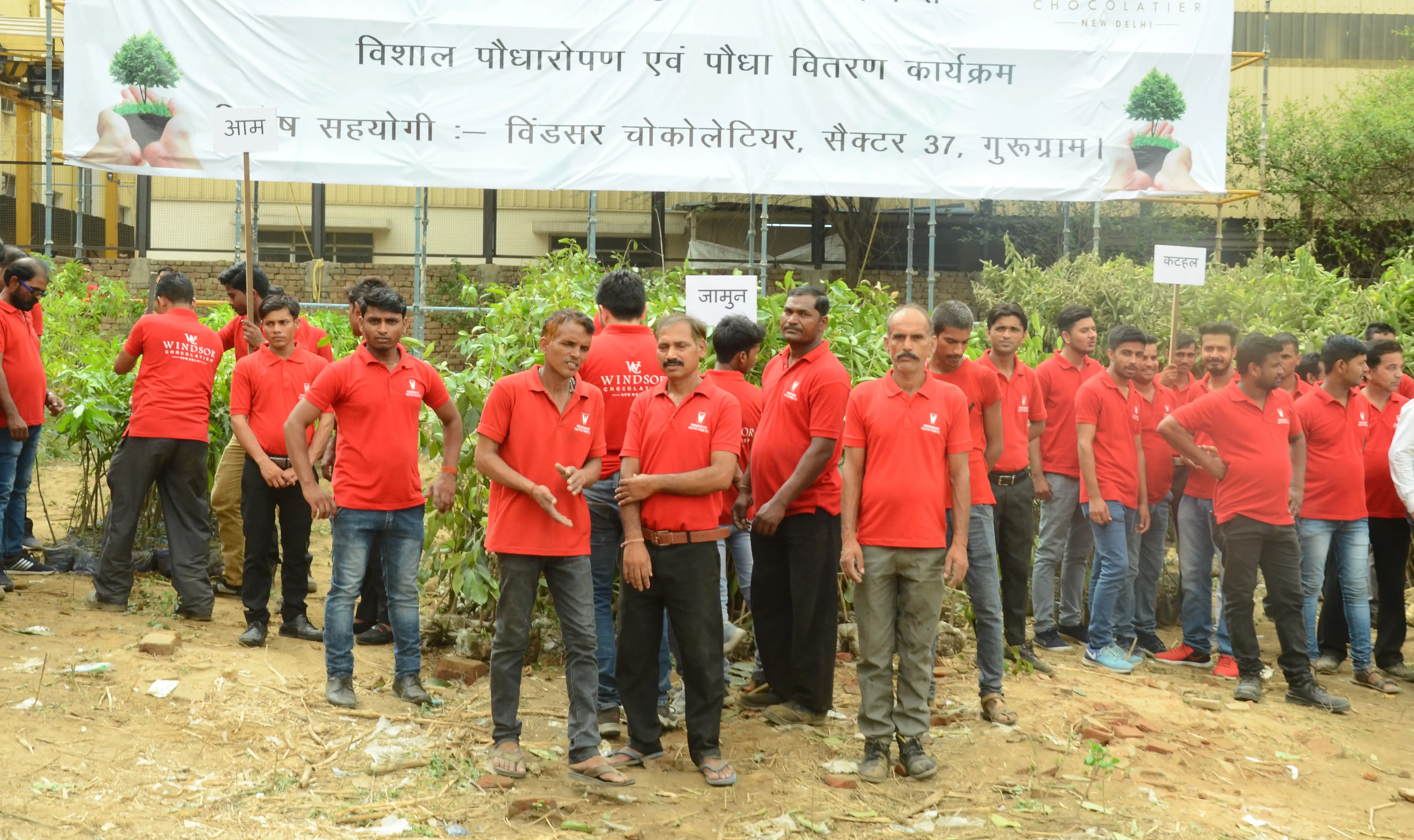 tree plantation initiative – 2019