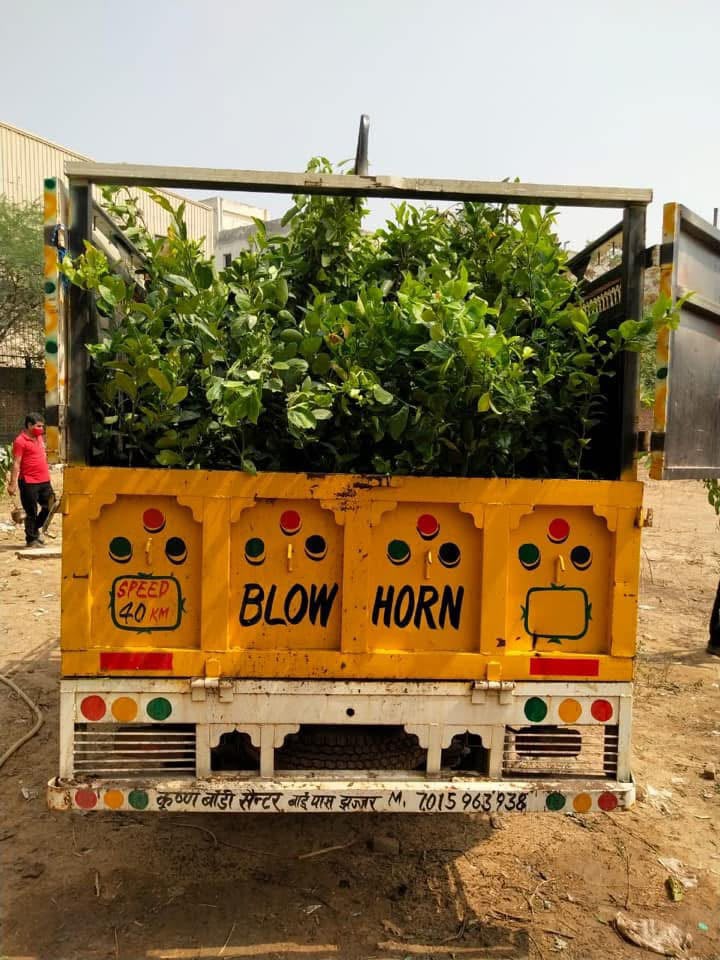 tree plantation initiative – 2020