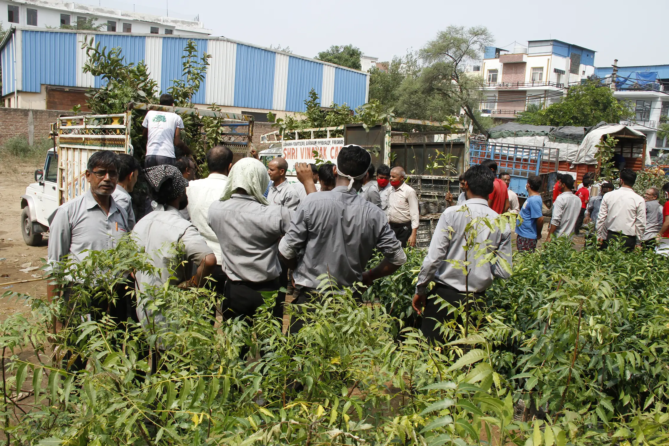 tree plantation initiative – 2021