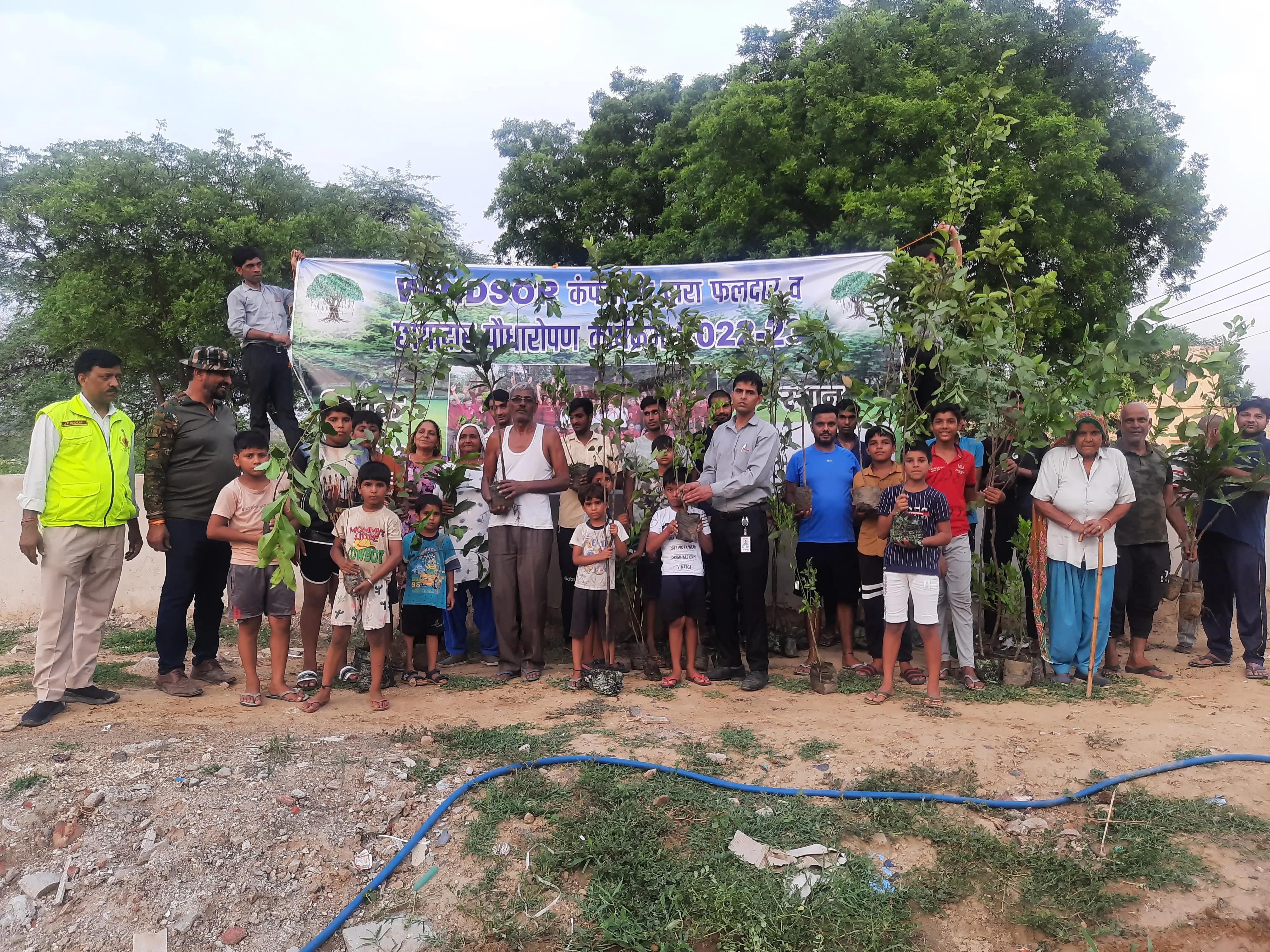tree plantation initiative – 2022