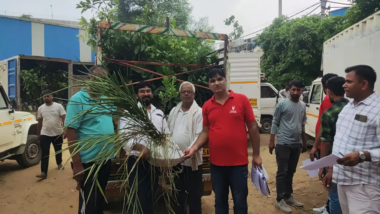 tree plantation initiative – 2023