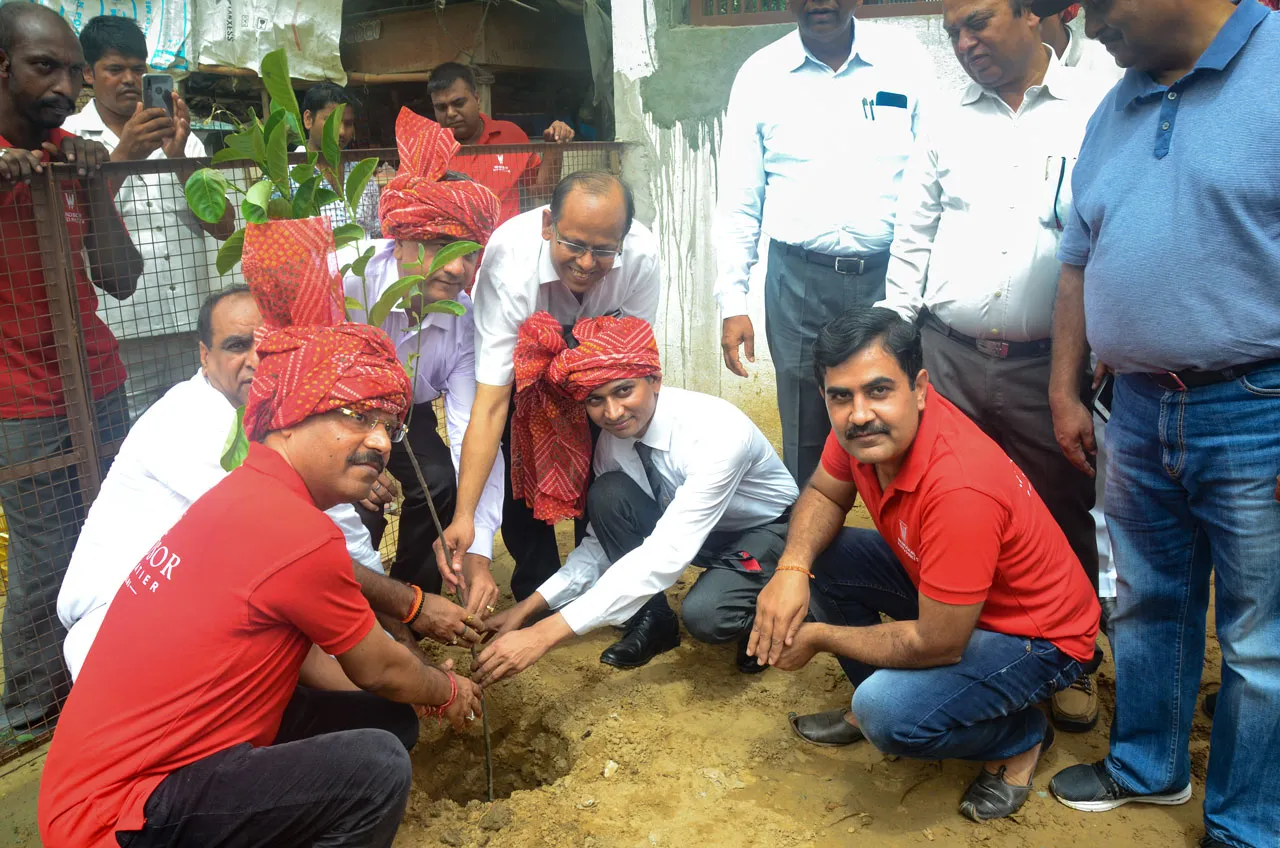 tree plantation initiative – 2019