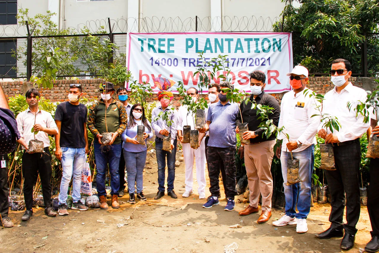 tree plantation initiative – 2021