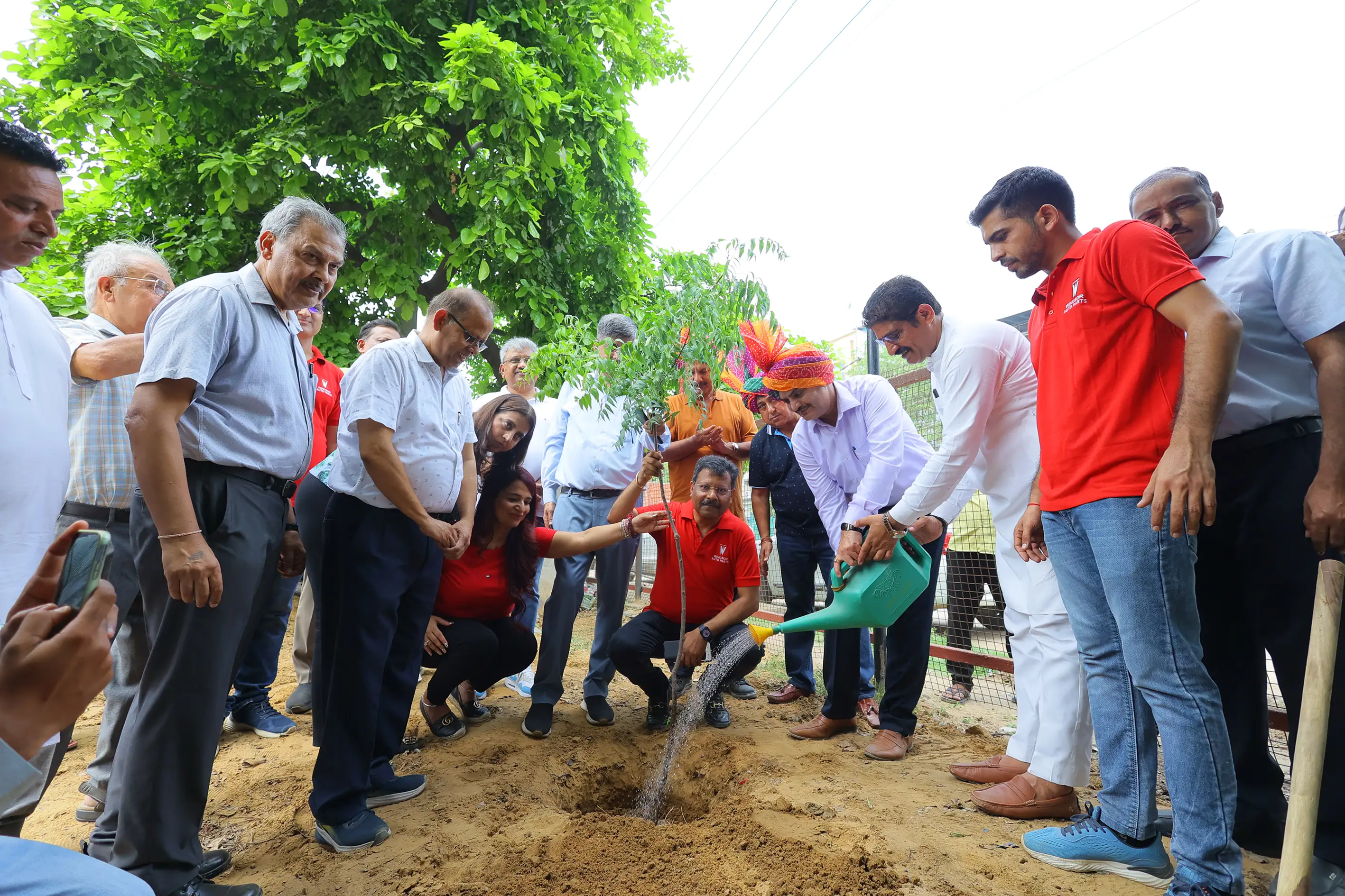 tree plantation initiative – 2024